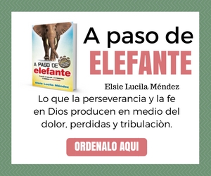 a-paso-de-elefante